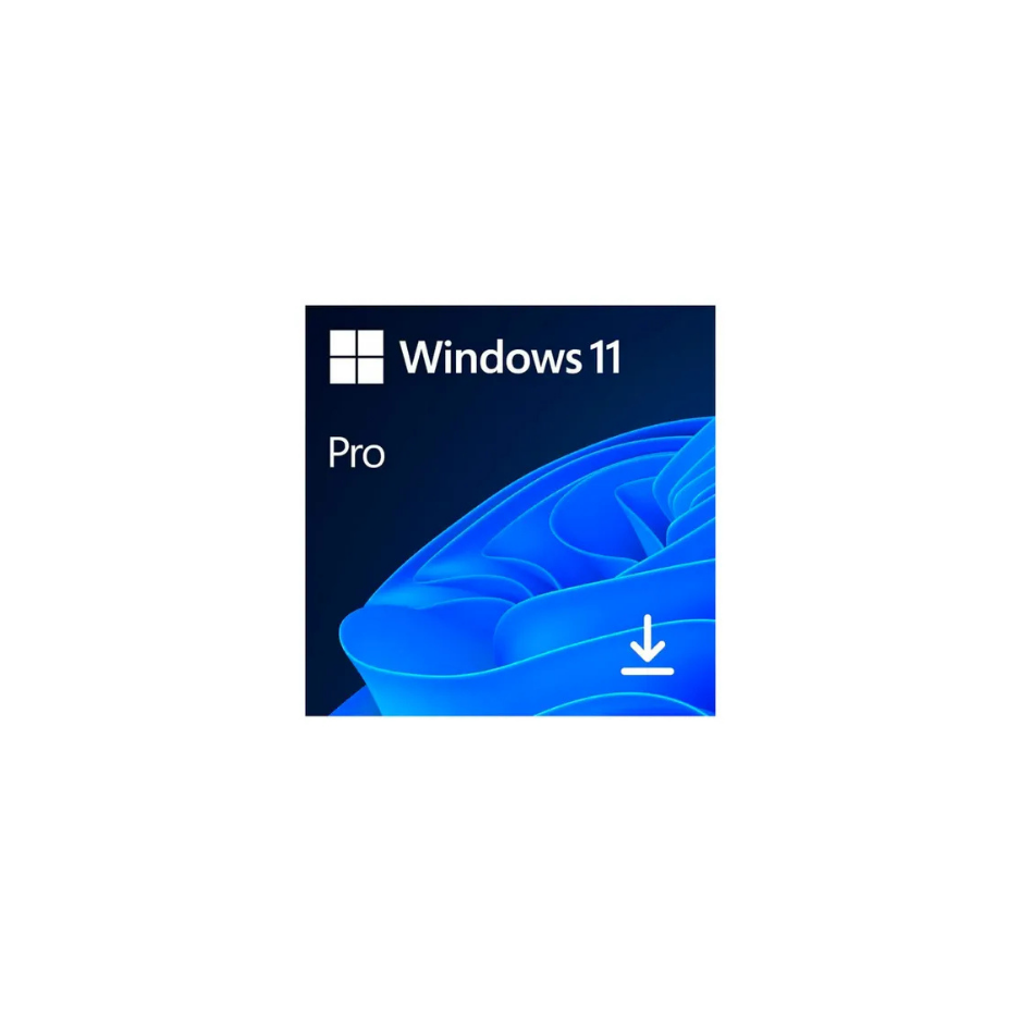 Windows 11 Pro Microsoft 64 bit ESD